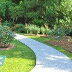 Savannah Botanical Gardens